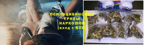 хмурый Абаза