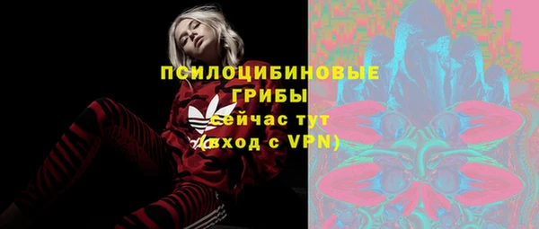 хмурый Абаза