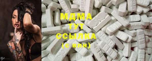 хмурый Абаза