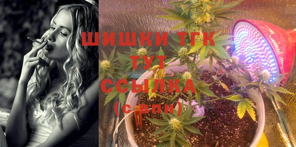 винт Магас