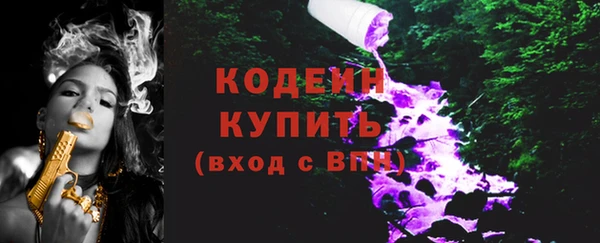 хмурый Абаза