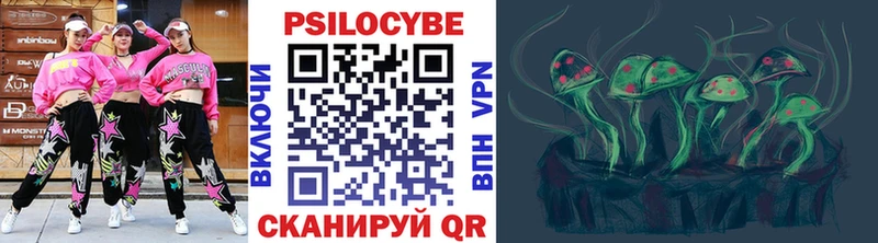 дарнет шоп  Юрюзань  Псилоцибиновые грибы Psilocybine cubensis 